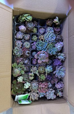 精康站在2025年03月03日的照片