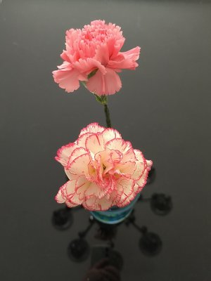 精康站在2025年03月07日的照片